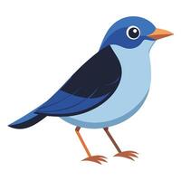 Assorted Birds on White vector