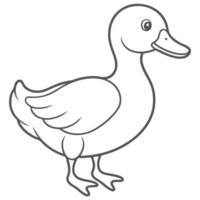 Simple Cute Duck Drawing vector