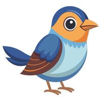 Types of Birds on White vector