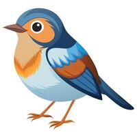 Birds Displayed on White vector