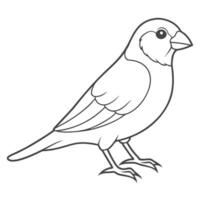 Simple Canary Bird Outline Design vector
