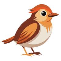 Bird on White Background vector