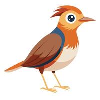 Birds of All Kinds on White Background vector