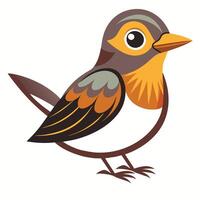 Different Birds on a White Background vector