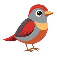 Different Types of Birds on White vector
