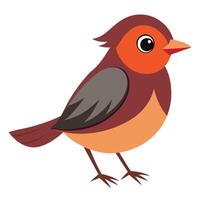 Birds Collection on Plain Background vector