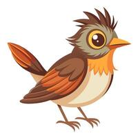 Bird Species on White Background vector