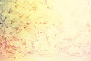 nature. natural floral abstract background of delicate hydrangea flowers. photo
