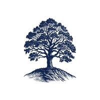 An oak tree on a hill with a blue background vector