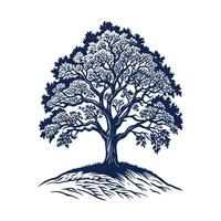 An oak tree on a hill with a blue background vector