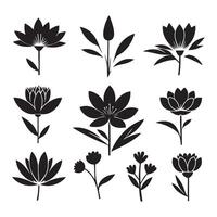 Set of flower shapes in silhouette on a white background vector