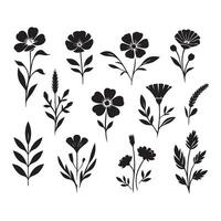 Botanical silhouette collection on a white background vector