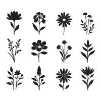 Botanical silhouette set displayed on a white surface vector