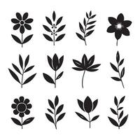 Shadowy flower designs on a crisp white background vector