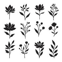Floral shadow collection on a pure white background vector