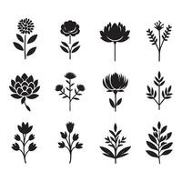 Set of flower shadow shapes on a white surface vector