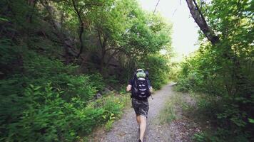 A man with a backpack on his shoulders is climbing up the path against the background of green trees in the summer on a warm day. Tourist in a hike. video