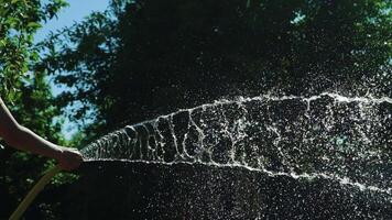 A man's hand holds a yellow hose with a stream of water in his hands and waters it all around. Watering a country garden. video