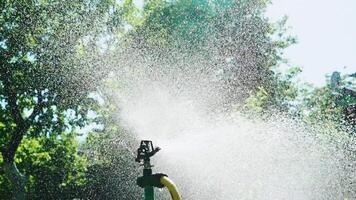 uma profissional automático irrigação sistema sprays água dentro pequeno gotas dentro a névoa Visão em a território do a local dentro a campo dentro a verão. fechar-se. video