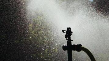 A powerful automatic watering system sprays water in the form of fog on the surrounding area with plants and trees. Close-up. Special drip irrigation. video