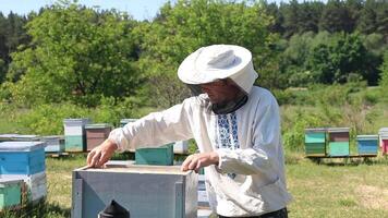 Beekeeper holding a honeycomb full of bees. Beekeeper inspecting honeycomb frame at apiary. Apiary concept video
