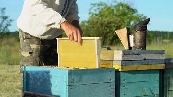 Man beekeeper puts one new frame into the hive full of bees and closes with hood on the natural background. Apiarist working outdoors on his bee-garden in summer. Apiary concept video