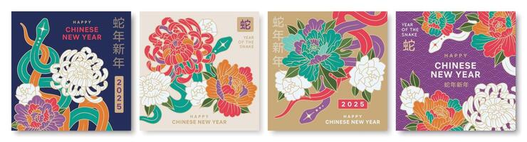 Set of Chinese New Year banners with snake, chrysanthemum and peony . Design templates with flowers, clouds, stars, snakes and hieroglyphic means new year of the snake and symbol of snake vector