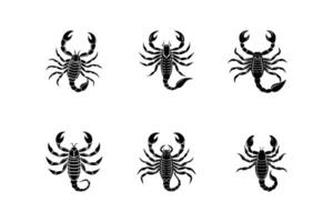 Art of Scorpion, A Unique Collection of Scorpion Logos and Silhouettes vector