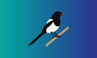 Magpie Bird Design vector
