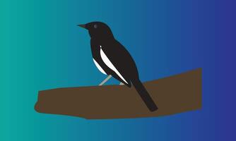 Magpie Bird Illustration vector