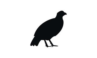 Black Pheasant Bird Design vector