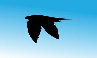 Bird Flying Alone Silhouette vector