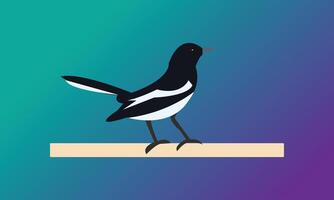 Nice And Cute Magpie Bird Design vector