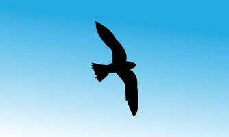 Bird Flying Alone vector