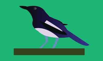 Nice And Cute Magpie vector