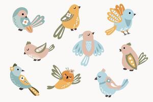 Birds set. Magic birds. White background isolate vector