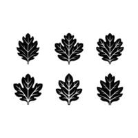 Stunning Oak Leaves Art for Creative Graphic Design Projects vector