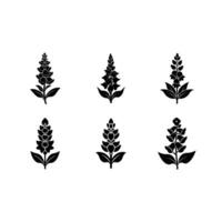 Stunning Snapdragon Designs and Line Art Graphics for Print vector