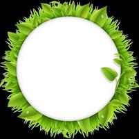 Green circle with leaves and grass on a black background vector