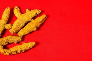 Barks of Yellow Turmeric on Red Background photo