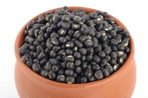 Urad dal, black gram, Vigna mungo in clay pot on white background photo