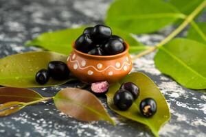 Jambolan plum or jambul or Jamun fruit, Java plum Syzygium cumini with leaf on stone textured background. photo