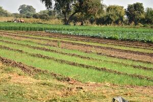 A man is working in a field with a tractor photo