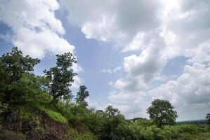 Beautiful Landscape with trees and mountain. photo