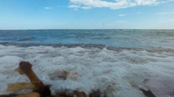 A view of the ocean from the shore video