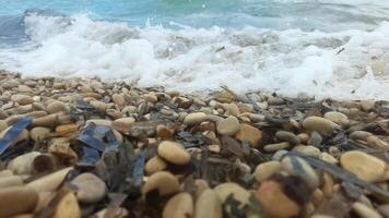 A beach with rocks and shells on the shore video