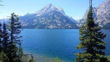 Pine Trees Framing a View of Jenny Lake at Grand Teton National Park photo