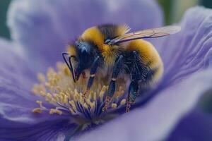 Bee collecting nectar on a purple flower, macro shot. photo