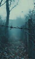 Rusted barbed wire fence against a blurred background, melancholic tone, empty space around photo