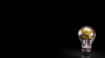 The Gold Brain in light bulb for sci and education or Business concept 3d rendering. photo